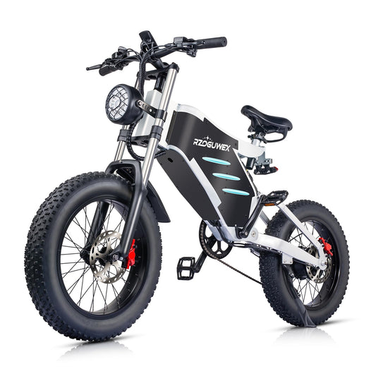 RZOGUWEX Electric Bicycle,20 Inch Off-Road EBIKE for Adults with 48V 25AH Detachable Lithium Ion Battery, 7 Speed Snow Bike with Dual Shock Absorbers and Brush-less Motor