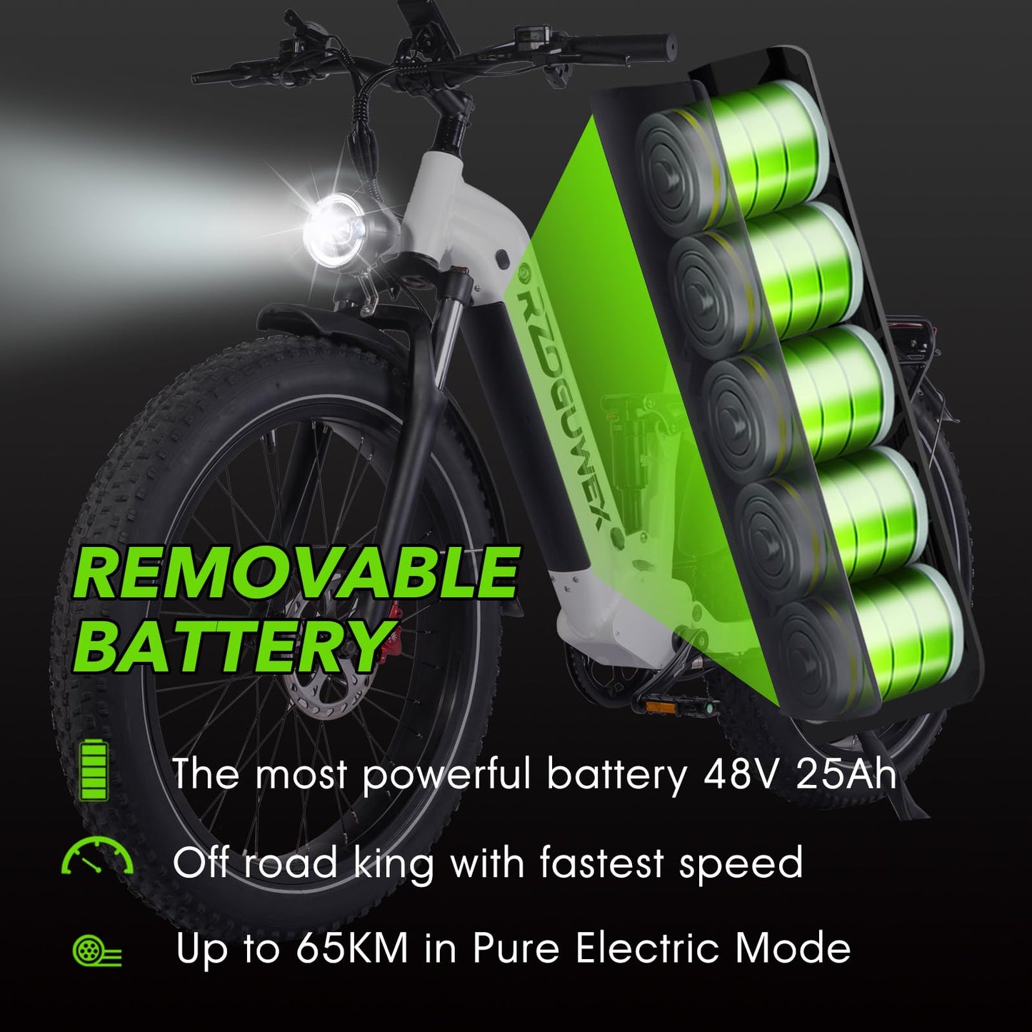 RZOGUWEX Electric Bicycle,26 Inch Off-Road EBIKE for Adults with 48V 25AH Detachable Lithium Ion Battery, 7 Speed with Dual Shock Absorbers and Dual Hydraulic Disc Brake(Black)