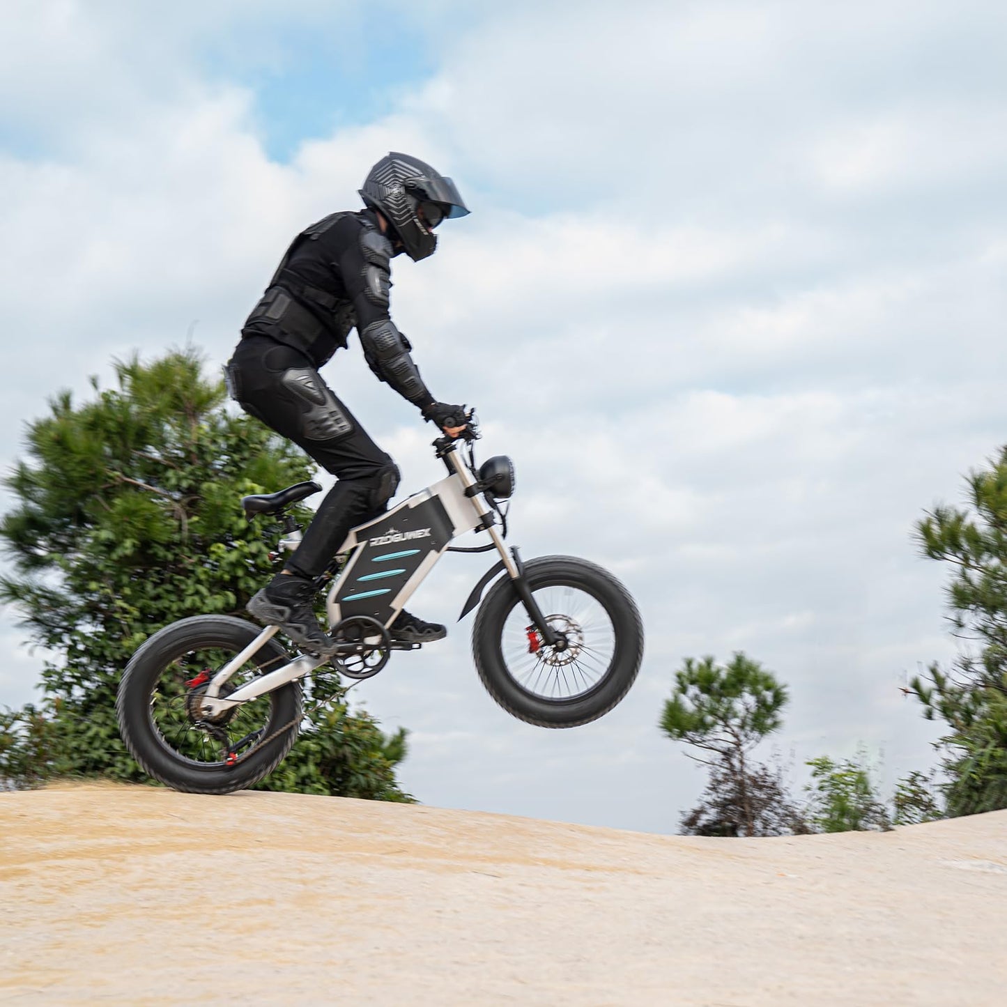 RZOGUWEX Electric Bicycle,20 Inch Off-Road EBIKE for Adults with 48V 25AH Detachable Lithium Ion Battery, 7 Speed Snow Bike with Dual Shock Absorbers and Brush-less Motor
