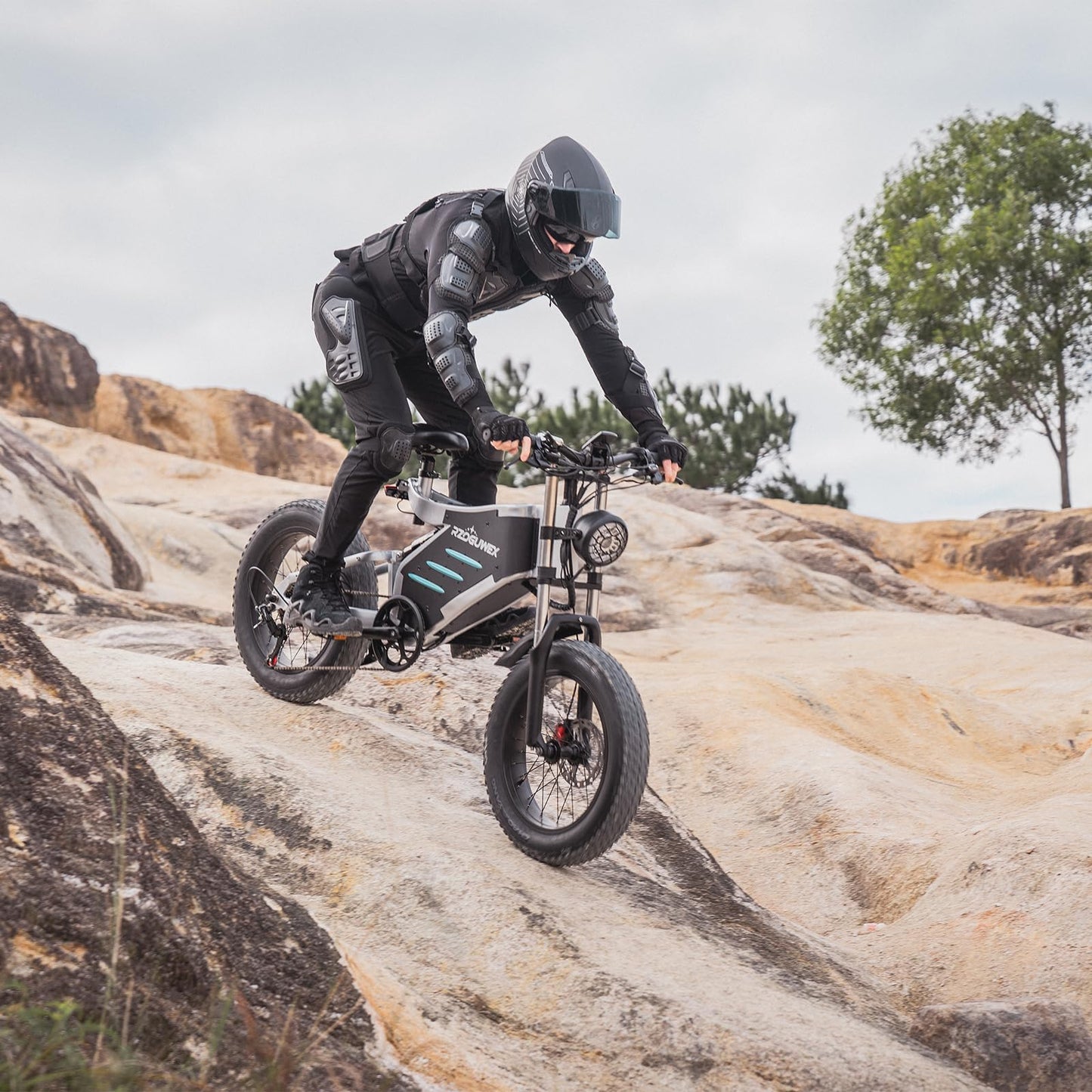 RZOGUWEX Electric Bicycle,20 Inch Off-Road EBIKE for Adults with 48V 25AH Detachable Lithium Ion Battery, 7 Speed Snow Bike with Dual Shock Absorbers and Brush-less Motor