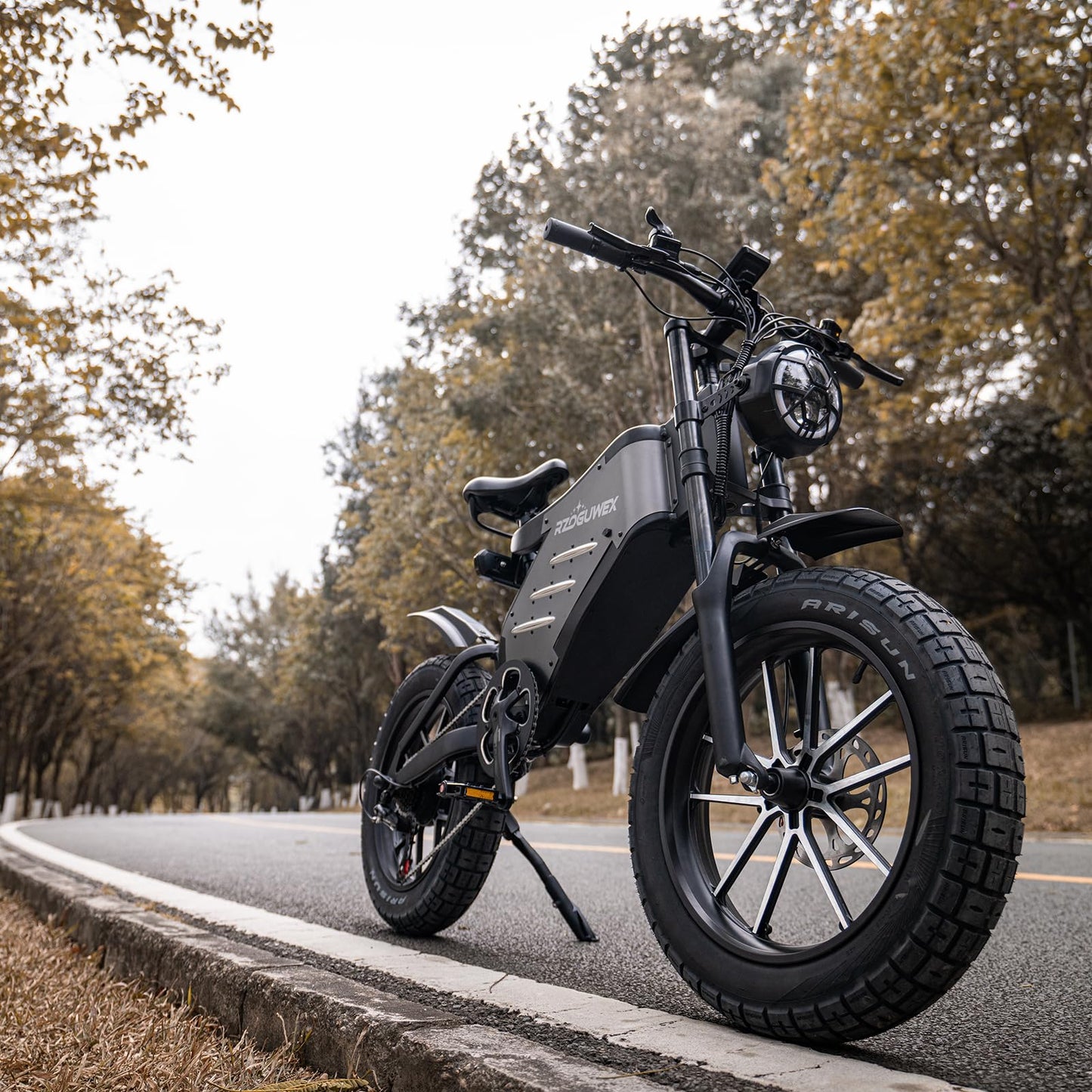 RZOGUWEX Electric Bicycle,20 Inch Off-Road EBIKE for Adults with 48V 25AH Detachable Lithium Ion Battery, Forged Mags Wheel with Dual Hydraulic Disc Brake