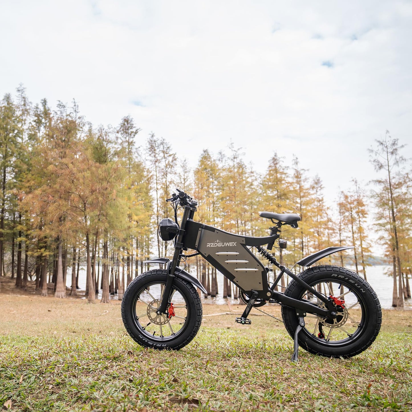 RZOGUWEX Electric Bicycle,20 Inch Off-Road EBIKE for Adults with 48V 25AH Detachable Lithium Ion Battery, Forged Mags Wheel with Dual Hydraulic Disc Brake