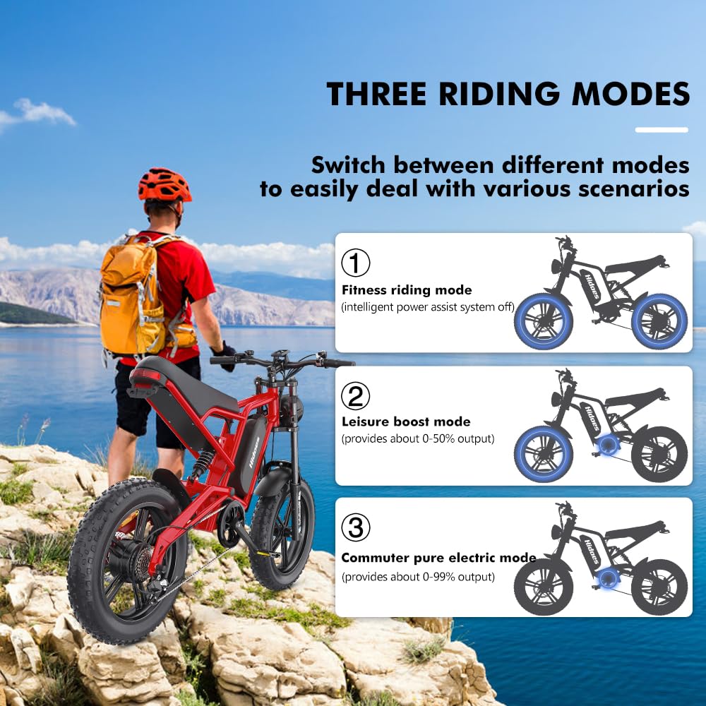 Fat Tire Electric Bike for Adults,15AH Removable Battery 80KM Range PAS Mode,Hidoes B6 Adult Electric Bicycle Up to 25Km/h,Dual shock absorption,20" x4.0 All-Terrain Tires,Shi-mano 7-Speed.
